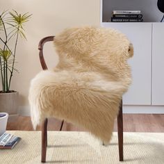 a chair that is sitting on a rug in front of a book shelf and potted plant