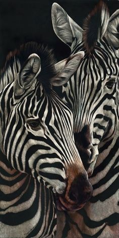 two zebras standing next to each other with their heads close together and looking at the camera