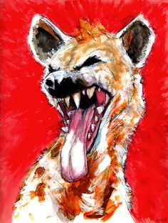 a drawing of a hyena yawning with its mouth open and tongue out