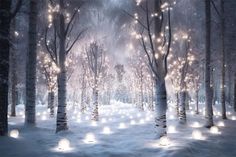 a snowy forest filled with lots of white lights and snow covered trees in the foreground