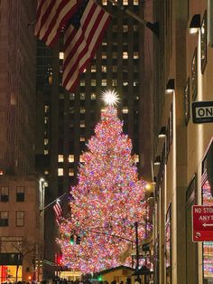 a large christmas tree is lit up in the city