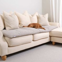 a brown dog laying on top of a white couch next to pillows and a window