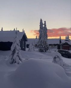 snow covered trees and houses in the distance at sunset or dawn with pink sky above