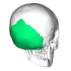 an image of a skull with green paint on it's face