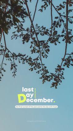 the cover of last day december, with trees in the foreground and blue sky in the background