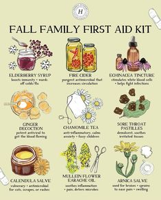 Family First Aid Kit, Herbal First Aid Kit, Herbal First Aid, Apopka Florida, Herbal Academy, Herbal Education, Herbal Remedies Recipes, Medical Herbs, Sustainable Gardening