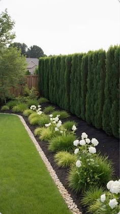 a garden with white flowers and green grass