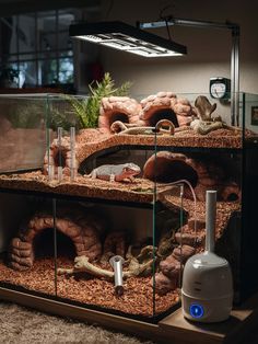 a large aquarium with rocks and plants in the water, including an artificial turtle tank