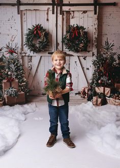 a young boy holding a small christmas tree