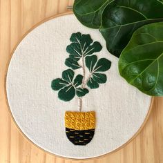 a potted plant with green leaves is on a white hoop hanging from a wooden table