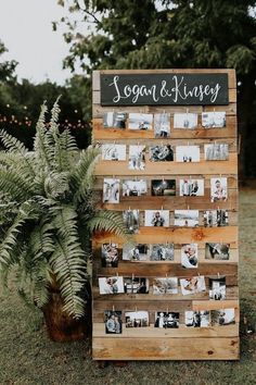 a wooden sign with photos on it sitting next to a potted plant in the grass