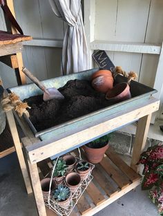 potted plants in a wheelbarrow filled with dirt