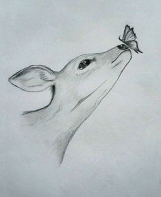 a drawing of a deer with a butterfly on it's nose looking up at the sky