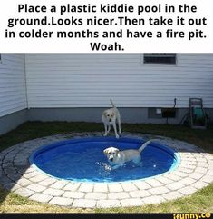 two dogs playing in an above ground pool with the caption, diy dog pond - place a plastic kiddie pool in the ground it'd'd be easy to clean