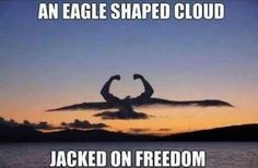 an eagle shaped cloud appears to be in the shape of two hands, with text above it that reads, jacked on freedom