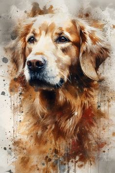 a painting of a golden retriever dog with watercolor stains on it's face