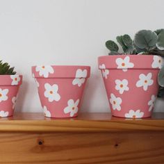 three pink flower pots sitting on top of a wooden shelf