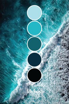 Wild Ocean Colour Palette by Lilybug Design Colour Palette Ocean, Ocean Pallet Color, Ocean Color Scheme, Ocean Colors Palette, Ocean Color Palette Colour Schemes, Aqua Colour Palette, Aqua Blue Color Palette, Ocean Colour Palette, Cyan Color Palette