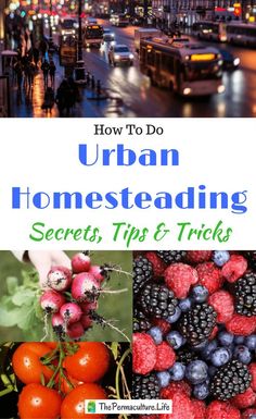 an urban scene with the title how to do urban homeseating secrets tips and tricks