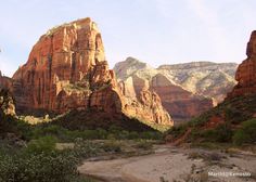 the mountains are covered with red rocks and green trees in the foreground is a river running through it