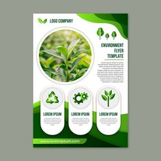 a brochure with green leaves on it