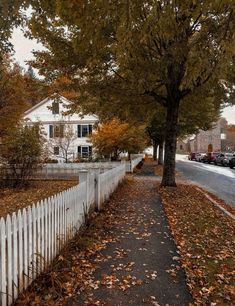 a white picket fence next to a tree with leaves on the ground and houses in the background