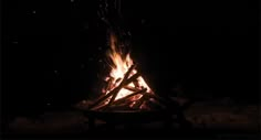 a campfire lit up in the dark with lots of sticks sticking out of it