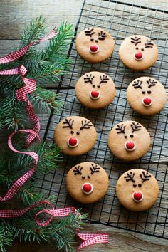 christmas cookies decorated like reindeers on a cooling rack