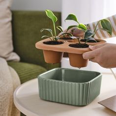 a person holding a tray with plants in it on a table next to a couch