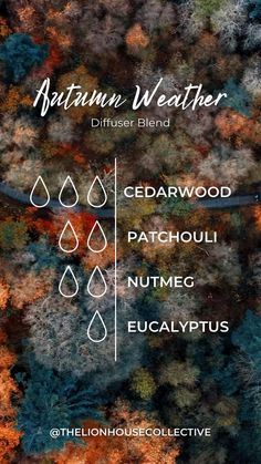 Lion House, Fall Diffuser Blends, Autumn Weather, Essential Oils Guide