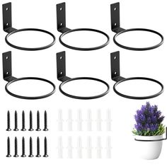 six black metal brackets with flowers in them