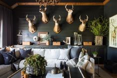 a living room with deer heads mounted on the wall and couches in front of it