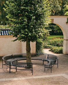 two benches sitting next to a tree in a park