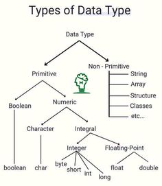 a diagram with different types of data type