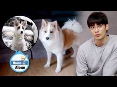 a young man sitting on the floor next to a dog and an image of a puppy