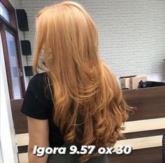 Ginger Blonde Hair, Schwarzkopf Hair Color, Strawberry Hair, Hair Color Streaks, Hair Patterns, Copper Hair Color, Honey Blonde Hair