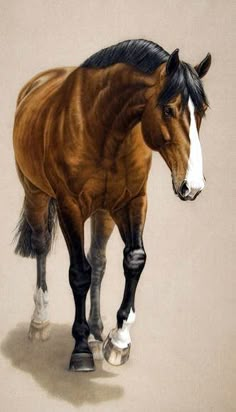 a painting of a brown horse with black manes and white feet standing in front of a beige background