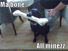 a black dog holding a bone in it's mouth while sitting on the floor