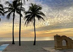 palm trees line the beach as the sun sets