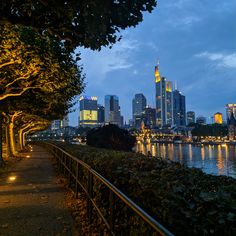 the city skyline is lit up at night with lights reflecting in the water and trees lining the walkway