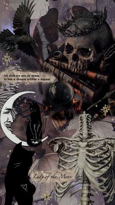 a collage of skulls, bones and other items