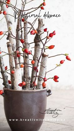 there is a potted plant with red berries in it