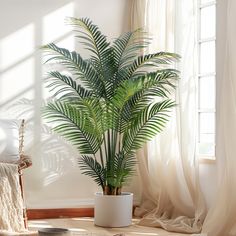 a potted plant sitting on top of a wooden table next to a window with sheer curtains