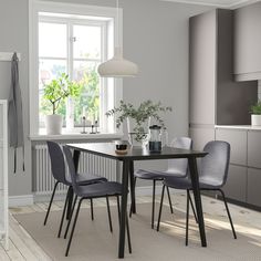 a dining table with four chairs and a potted plant in the corner next to it