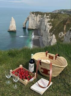 strawberries and wine on the grass overlooking the ocean with cliffs in the back ground