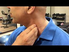 Got muscle pain in the neck or shoulder? Check out our complete guide to neck pain relief from trigger points at https://goo.gl/Y8J24kYour neck pain may be c... Knots In Neck Muscle, Scalene Muscle, Cervical Fusion, Trigger Points Neck, Sternocleidomastoid Muscle, Myofascial Pain Syndrome, Neck And Shoulder Exercises, Neck Muscles, Muscle Stretches