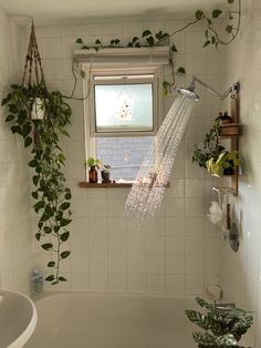 a bathtub with plants hanging from the shower head