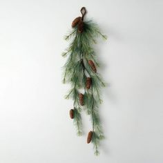 pine cones and needles hang from a branch