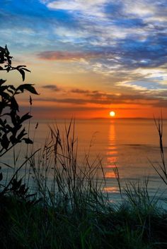 the sun is setting over the ocean with tall grass