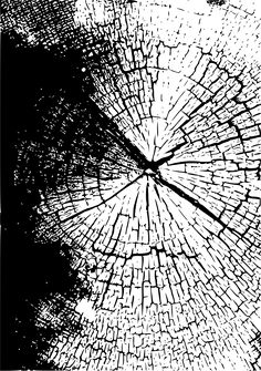 a black and white photo of a cracked glass window with the sun shining through it